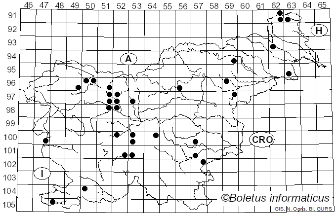 <i>Xylodon</i> (Pers.) Gray (1821)