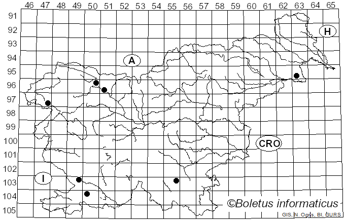 <i>Trechispora mollusca</i> (Pers.) Liberta (1974)