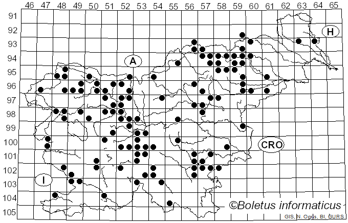 <i>Suillus viscidus</i> (L.) Fr. (1796)