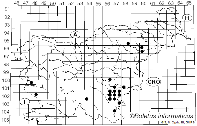 <i>Russula zvarae</i> Velen. (1922)