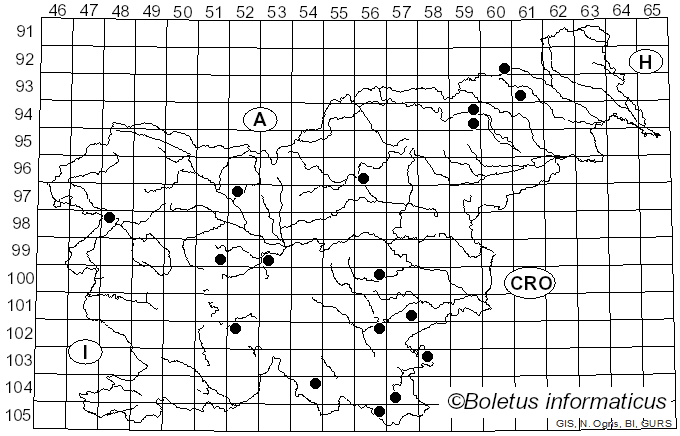 <i>Phellinus tremulae</i> (Bondartsev) Bondartsev & Borissov (1953)