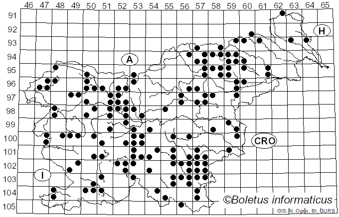 <i>Pycnoporus cinnabarinus</i> (Jacq.) Fr. (1881)