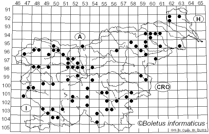 <i>Ascocoryne</i> J.W. Groves & D.E. Wilson (1967)