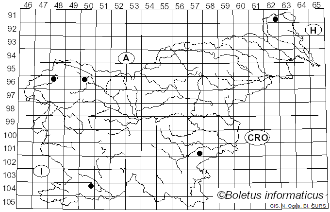 <i>Merismodes anomala</i> (Pers.) Singer (1975)