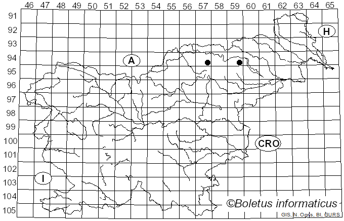 <i>Russula atropurpurea</i> f. <i>dissidens</i> Zvára (1931)