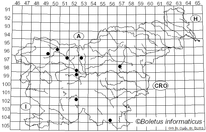 <i>Septoria scabiosicola</i> Desm. (1853)