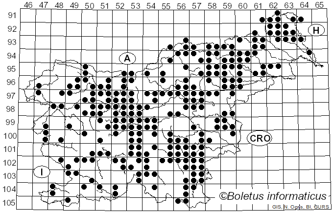 <i>Tricholomopsis rutilans</i> (Schaeff.) Singer (1939)