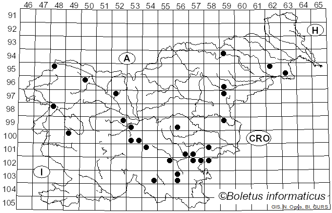 <i>Laxitextum</i> Lentz (1956)