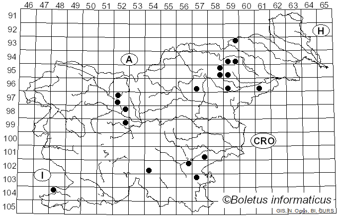 <i>Russula alnetorum</i> Romagn. (1956)