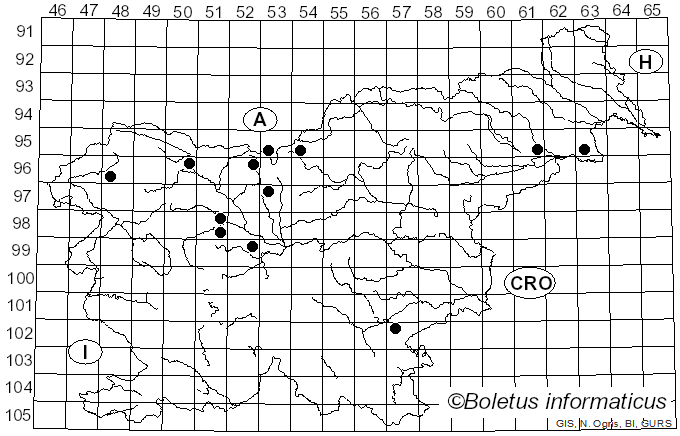 <i>Rhodonia placenta</i> (Fr.) Niemelä, K.H. Larss. & Schigel (2005)