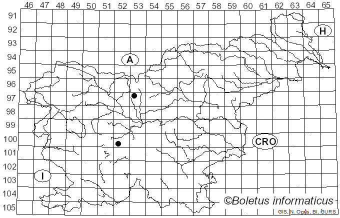 <i>Septoria euphorbiae</i> Guépin (1879)