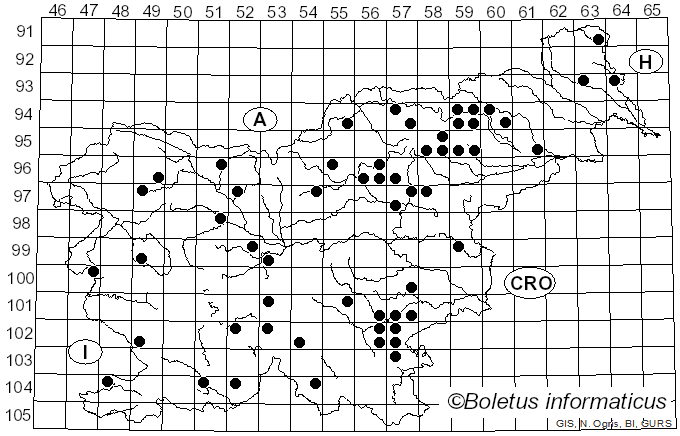 <i>Thaxterogaster multiformis</i> (Fr.) Niskanen & Liimat. (2022)
