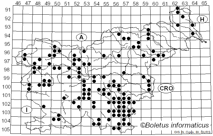 <i>Chlorociboria aeruginascens</i> (Nyl.) Kanouse ex C.S. Ramamurthi, Korf & L.R. Batra (1958)
