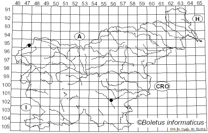 <i>Caloboletus polygonius</i> (A.E. Hills & Vassiliades) Vizzini (2014)