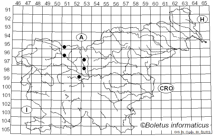 <i>Cercosporella</i> Sacc. (1880)