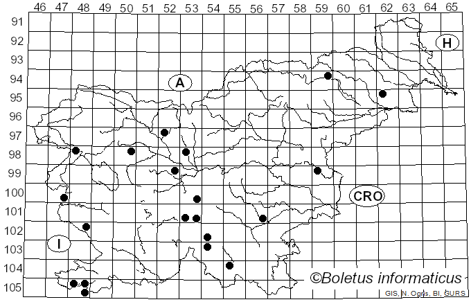 <i>Lactarius evosmus</i> Kühner & Romagn. (1954)