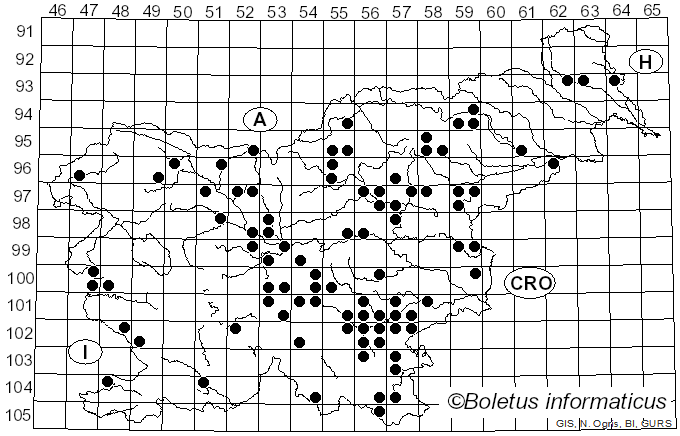<i>Amanita ceciliae</i> (Berk. & Broome) Bas (1983)