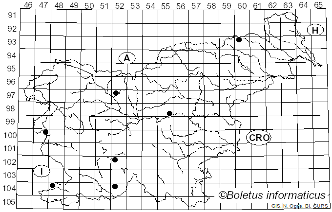 <i>Calonarius xanthochlorus</i> (Rob. Henry) Niskanen & Liimat. (2022)