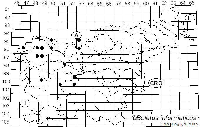 <i>Cheilosia illustrata</i> Harris