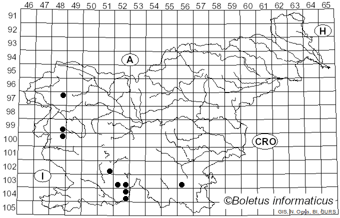 <i>Melanohalea laciniatula</i> (Flagey ex H. Olivier) O. Blanco, A. Crespo, Divakar, Essl., D. Hawksw. & Lumbsch (2004)