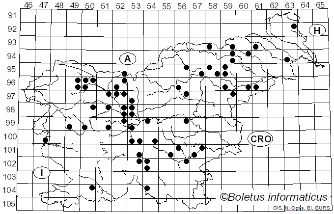 <i>Elaphomyces granulatus</i> Fr. (1829)