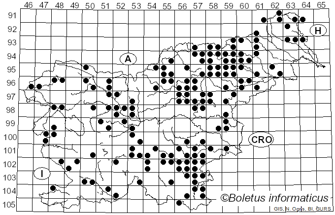 <i>Lactarius camphoratus</i> (Bull.) Fr. (1838)
