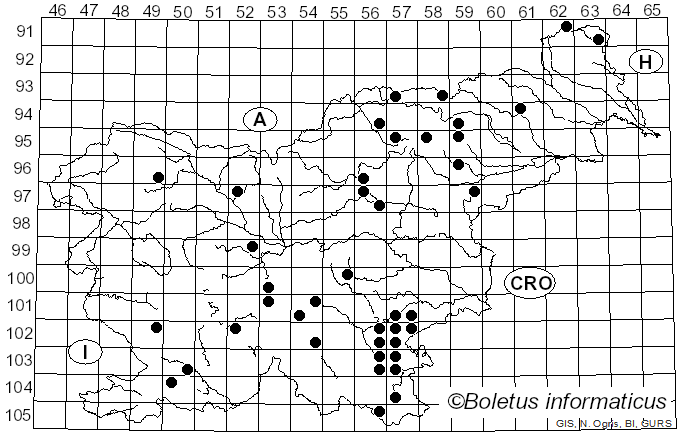 <i>Amaropostia</i> B.K. Cui, L.L. Shen & Y.C. Dai (2018)