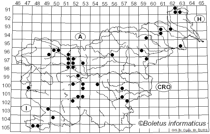 <i>Xylodon</i> (Pers.) Gray (1821)