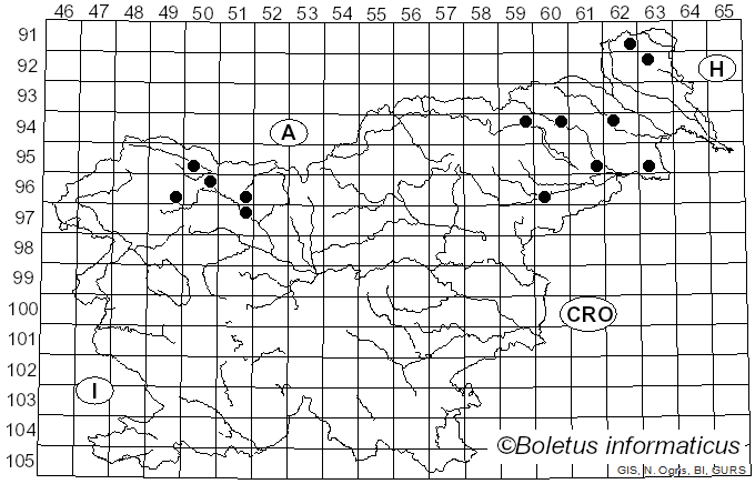 <i>Diatrype decorticata</i> (Pers.) Rappaz (1987)