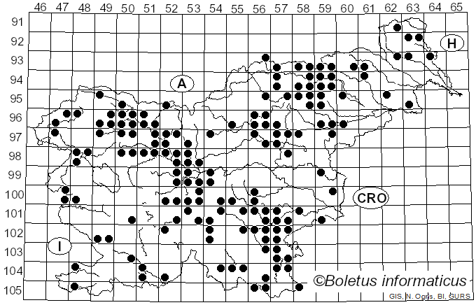 <i>Thelephora</i> Ehrh. ex Willd. (1787)