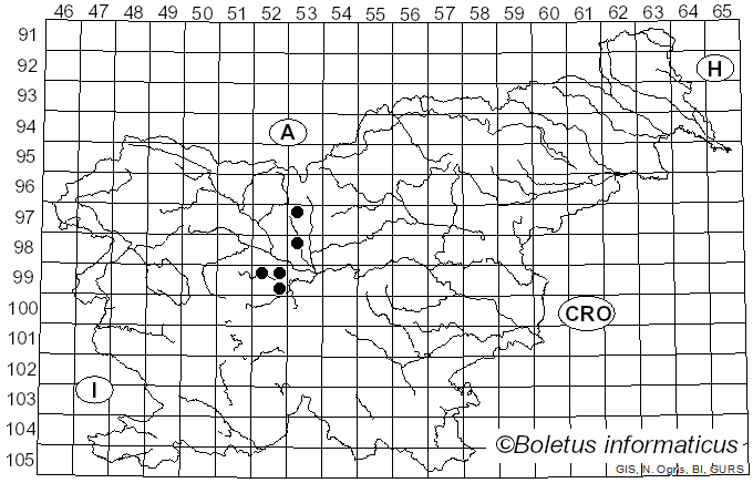 <i>Synchytrium taraxaci</i> de Bary & Woronin (1863)