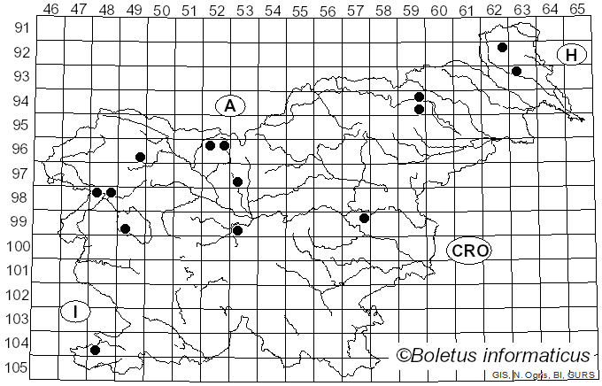 <i>Cortinarius turmalis</i> Fr. (1838)