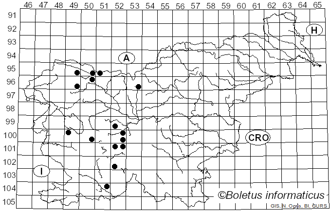 <i>Meliscaeva cinctella</i> Zetterstedt (1843)