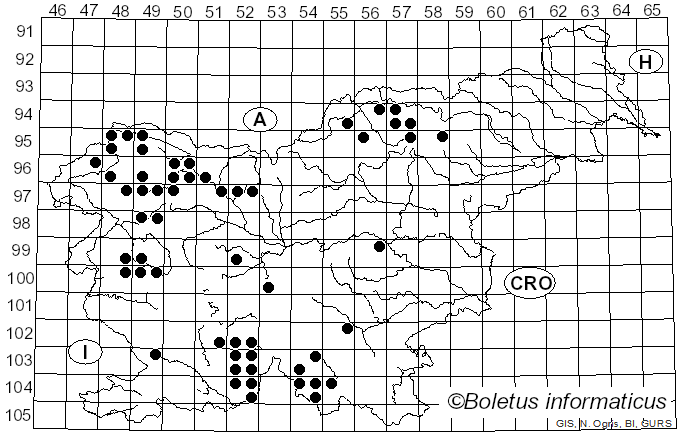 <i>Graphis</i> Adans. (1763)