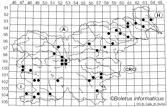 <i>Pholiota populnea</i> (Pers.) Kuyper & Tjall.-Beuk. (1986)