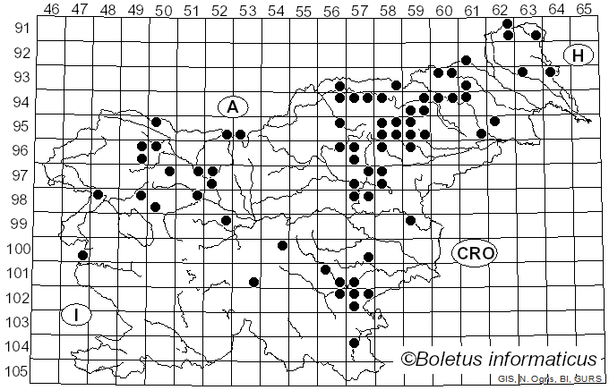 <i>Cortinarius stillatitius</i> Fr. (1838)