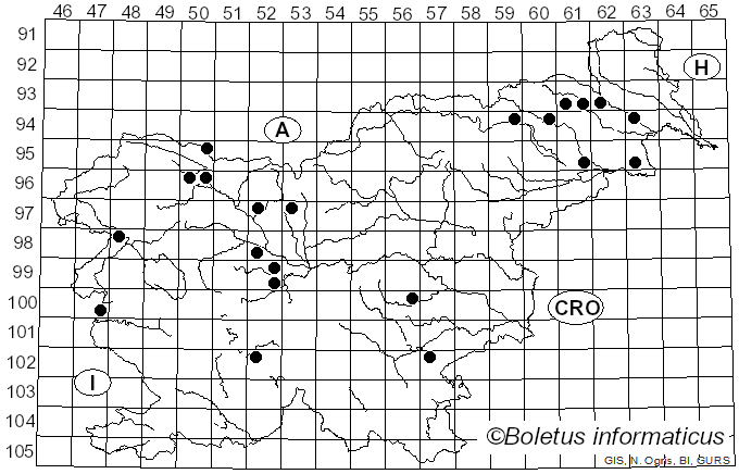 <i>Melogramma</i> Fr. (1849)