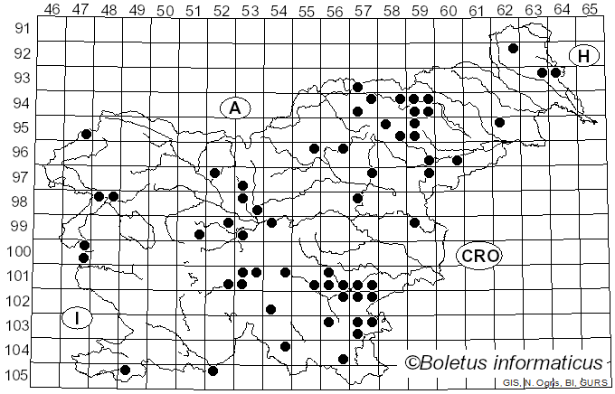 <i>Russula raoultii</i> Quél. (1886)
