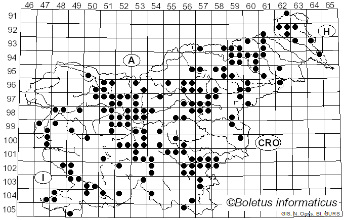 <i>Tricholoma pardinum</i> Quél. (1873)