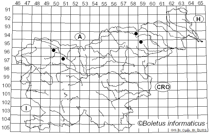 <i>Mycena plumbea</i> (Fr.) Sacc. (1947)