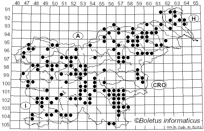 <i>Lycoperdon excipuliforme</i> (Scop.) Pers. (1801)