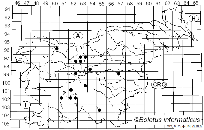 <i>Cladosporium herbarum</i> (Pers.) Link (1816)
