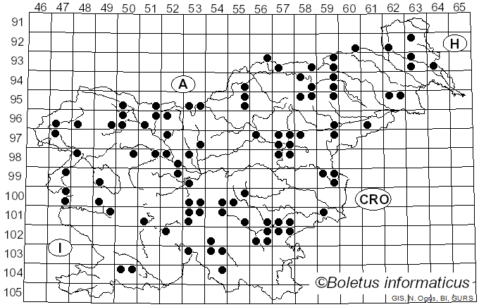 <i>Bolbitius titubans</i> (Bull.) Fr. (1838)