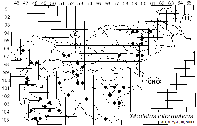 <i>Xanthoporia radiata</i> (Sowerby) Ţura, Zmitr., Wasser, Raats & Nevo (2011)