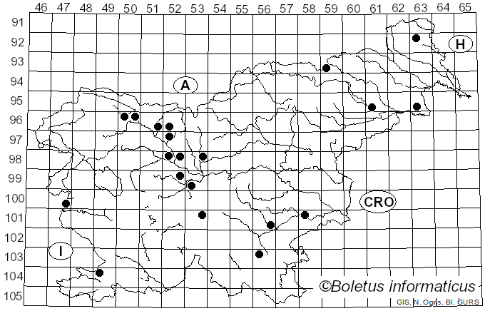 <i>Sistotrema</i> Fr. (1821)