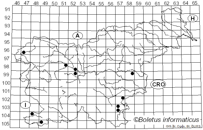 <i>Hygrophorus latitabundus</i> Britzelm. (1899)
