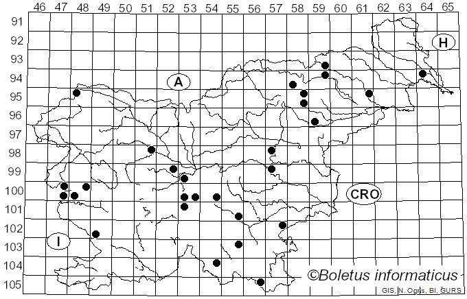 <i>Pluteus ephebeus</i> (Fr.) Gillet (1876)
