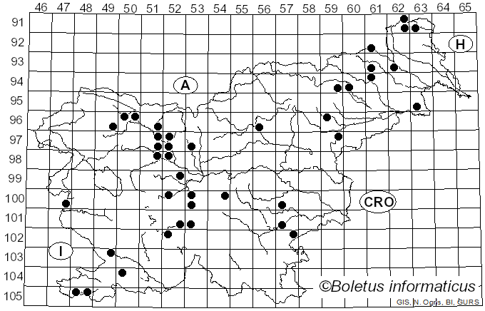 <i>Xylodon</i> (Pers.) Gray (1821)