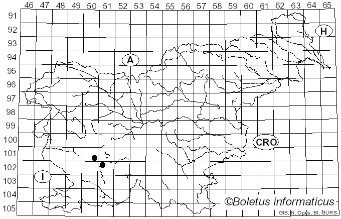 <i>Gloeophyllum</i> P. Karst. (1882)