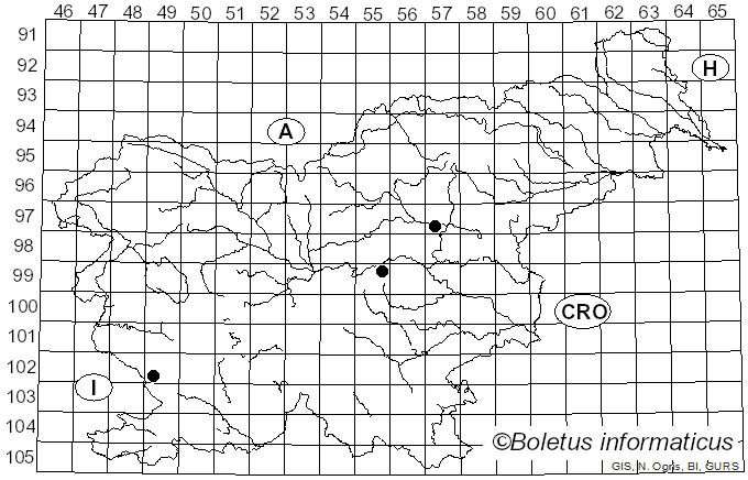 <i>Cortinarius citrinolilacinus</i> (M.M. Moser) M.M. Moser (1967)